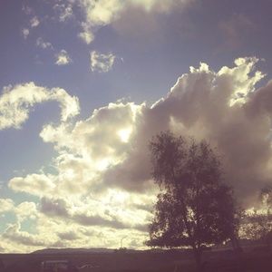 Meet your Posher, Jade